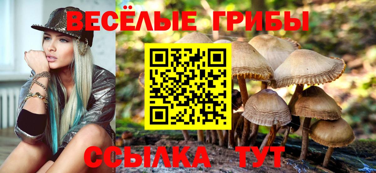 Галлюциногенные грибы мицелий  Вход с VPN  Псилоцибиновые грибы мухоморы  Рязань 
